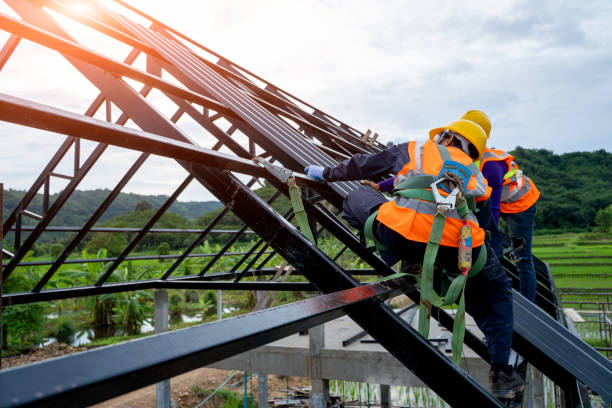 Best Roof Gutter Cleaning  in Burley, ID