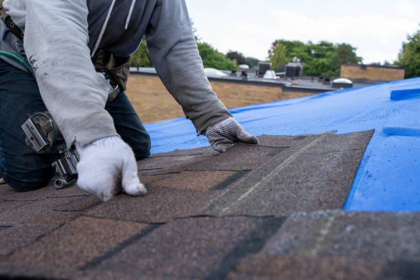 Quick and Trustworthy Emergency Roof Repair Services in Burley, ID